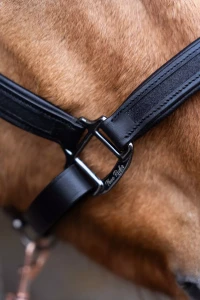 Kantar_Skórzany_True_Rider_Sparkle_Czarny (3).webp