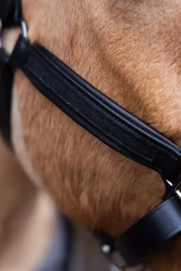 Kantar_Skórzany_True_Rider_Sparkle_Czarny (10).webp