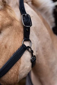 Kantar_Skórzany_True_Rider_Sparkle_Czarny (8).webp