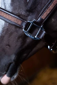 Kantar_Skórzany_True_Rider_Sparkle_Brązowy (2).webp