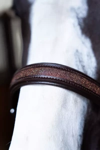 Kantar_Skórzany_True_Rider_Sparkle_Brązowy (7).webp