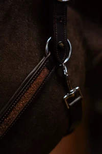 Kantar_Skórzany_True_Rider_Sparkle_Brązowy (9).webp