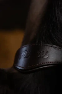 Kantar_Skórzany_True_Rider_Sparkle_Brązowy (5).webp
