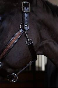Kantar_Skórzany_True_Rider_Sparkle_Brązowy (6).webp