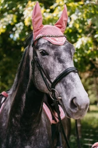 Nauszniki_True_Rider_Velvet_Rose (5).webp