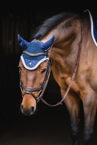 True Rider Sparkle nauszniki dla konia