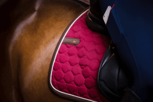 sklepy jeździeckie poznań