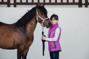 marka ubrań z koniem 